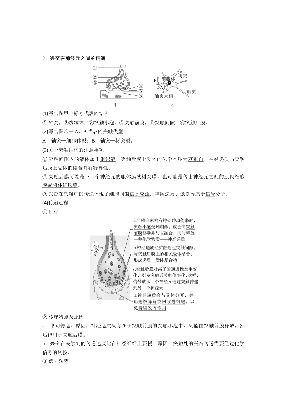2024年高考生物一轮复习（新人教版） 第8单元　第3课时　神经冲动的产生、传导和传递.docx_第2页