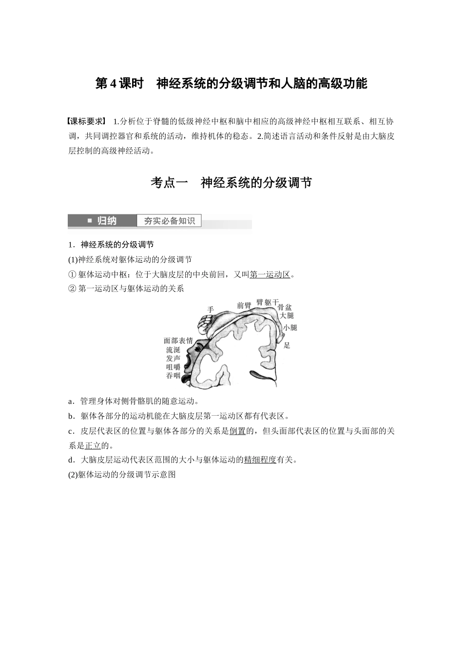 2024年高考生物一轮复习(新人教版) 第8单元 第4课时 神经系统的分级调节和人脑的高级功能.docx_第1页