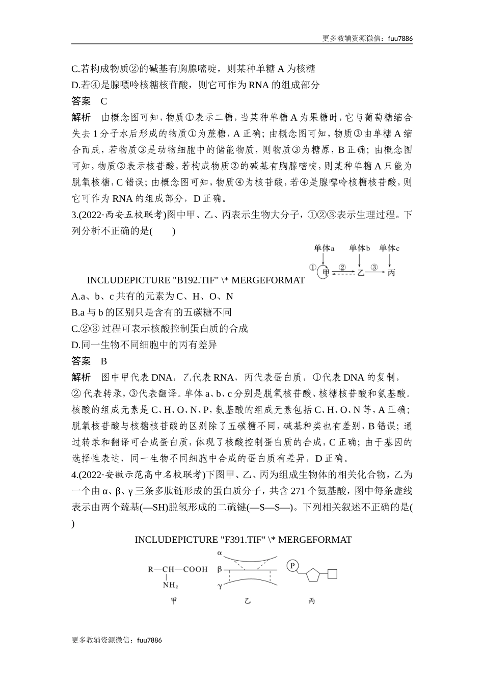 热点微练2 细胞中有机物的推断(尖子生特训).doc_第2页