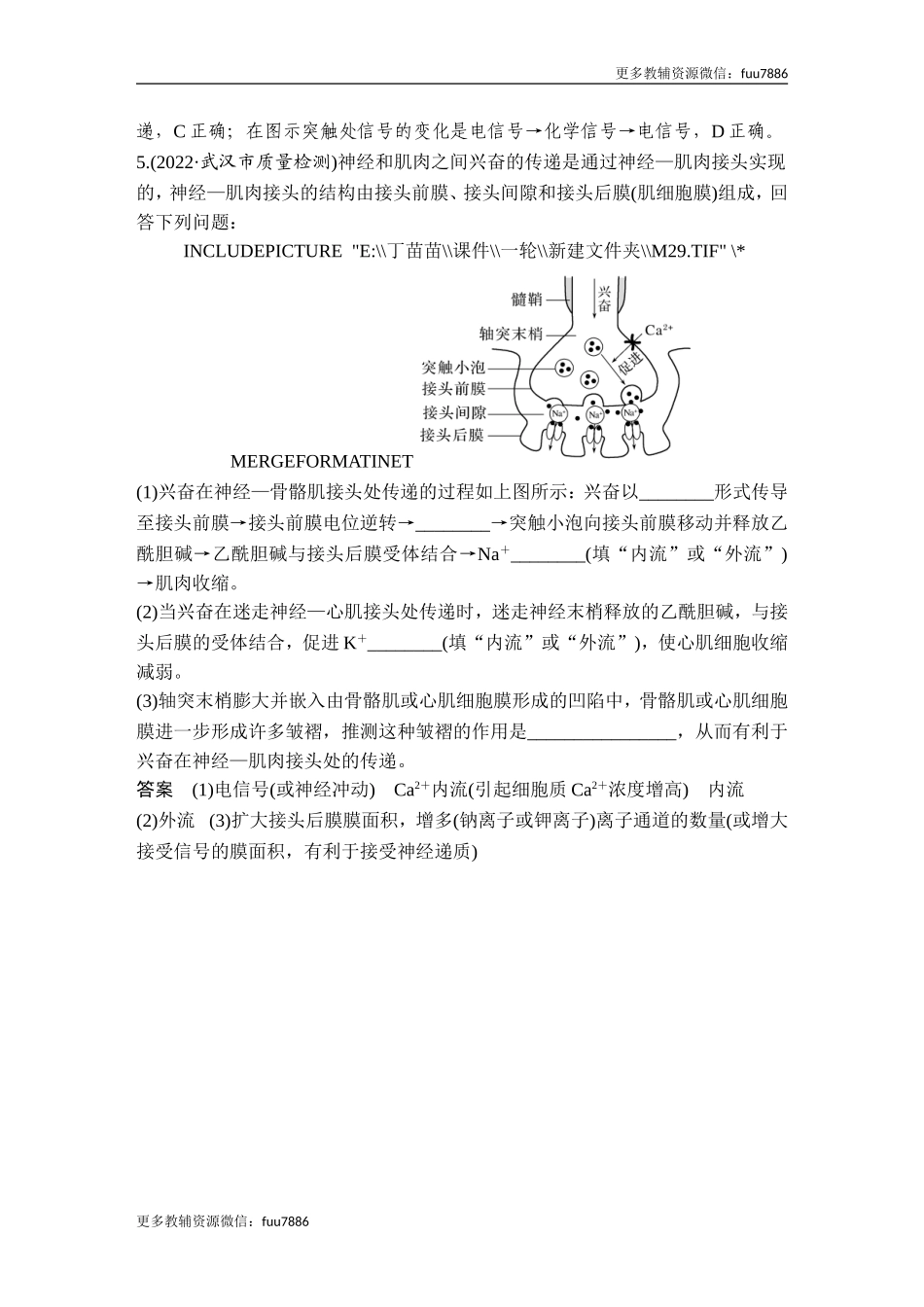 热点微练15 神经调节中的离子与神经递质(尖子生特训).doc_第3页