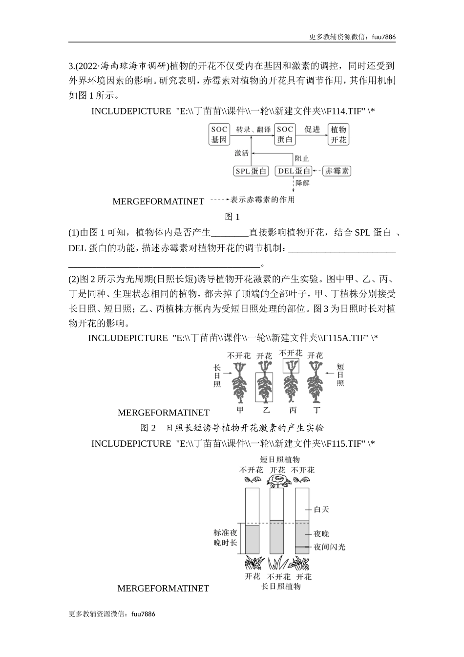 热点微练18 植物激素相关的实验设计(尖子生特训).doc_第3页