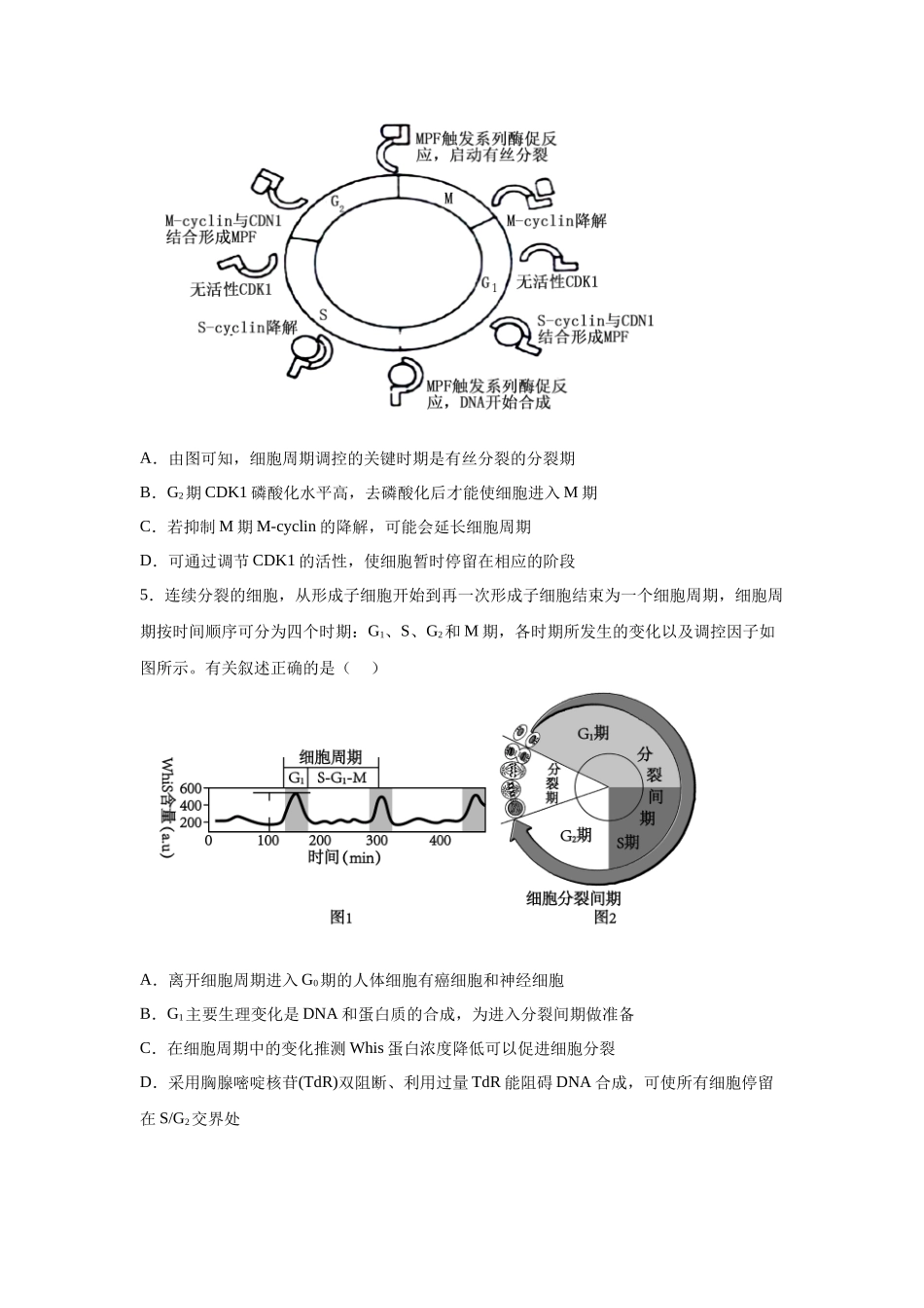 2024年新课标高考真题湖北卷生物变式题13-15.docx_第3页