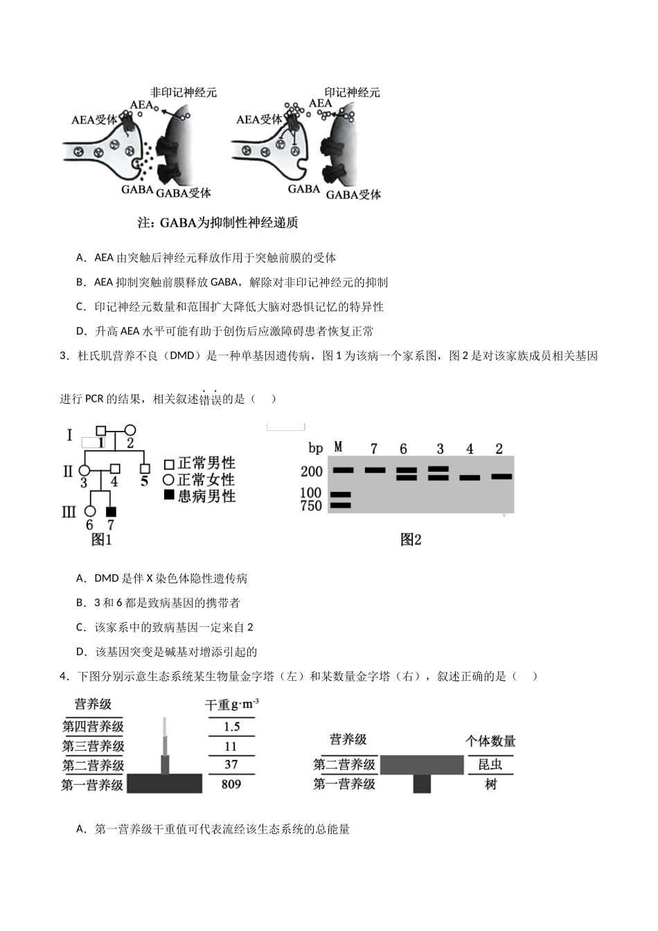 生物（北京卷01）（考试版）.docx_第2页