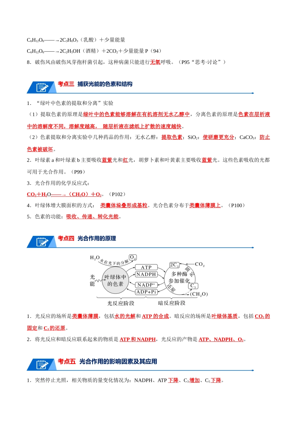 宝典05 细胞呼吸和光合作用(解析版).docx_第3页