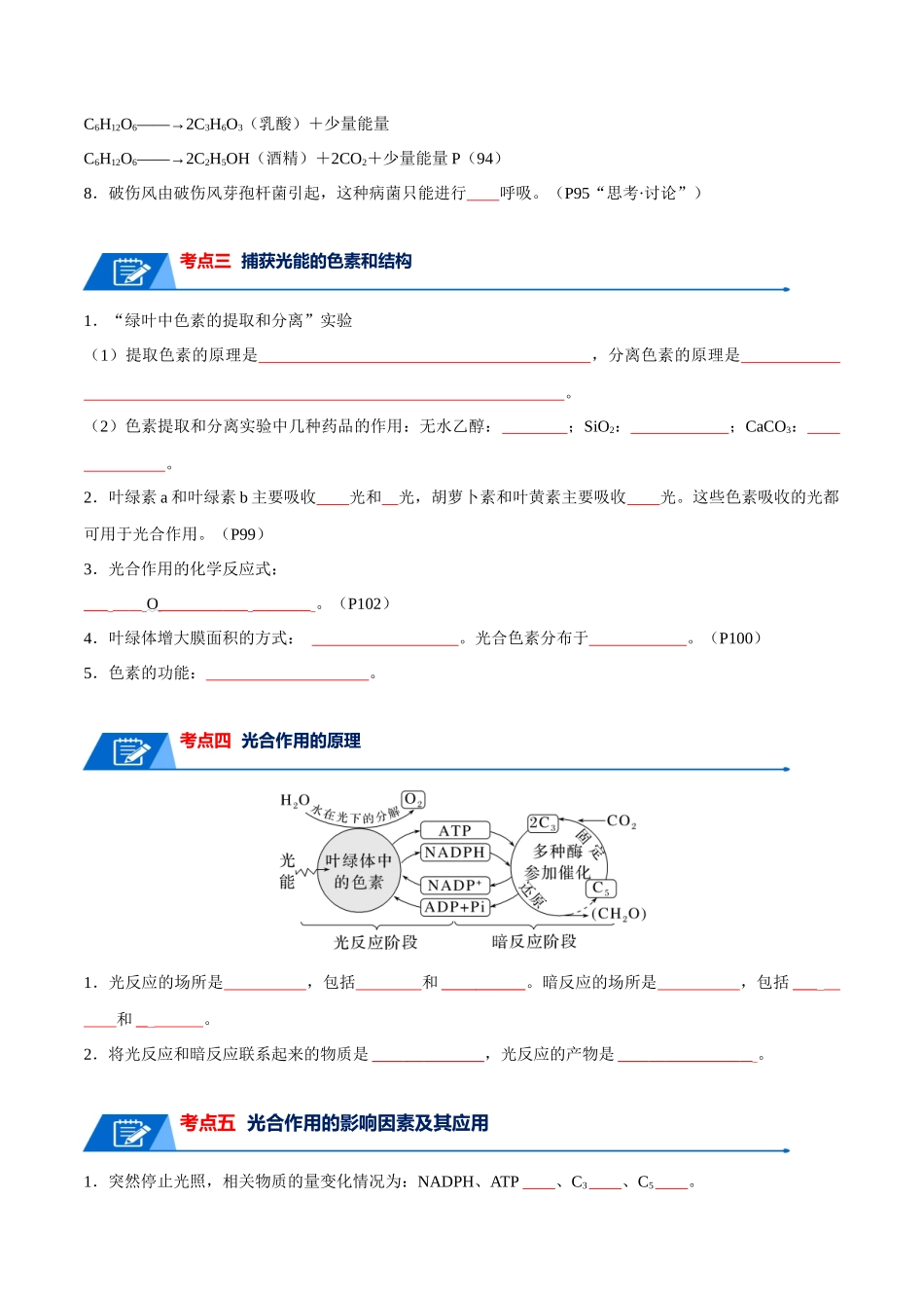 宝典05 细胞呼吸和光合作用(原卷版).docx_第3页