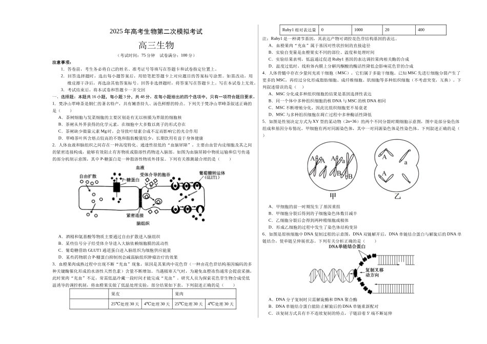 生物(贵州卷)(考试版A3).docx_第1页