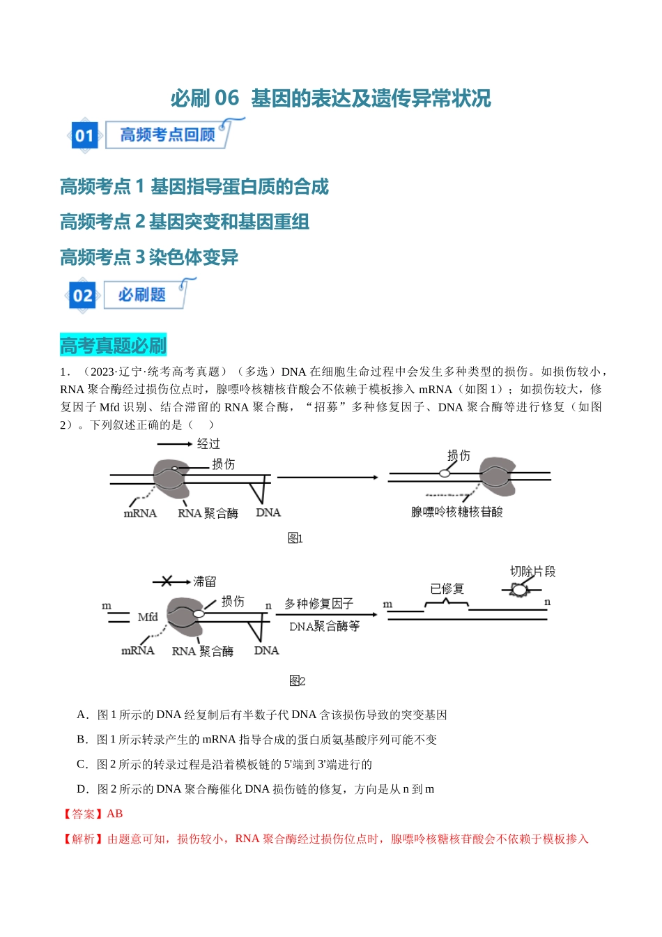 必刷06 基因的表达及异常状况(共50题)(解析版).docx_第1页