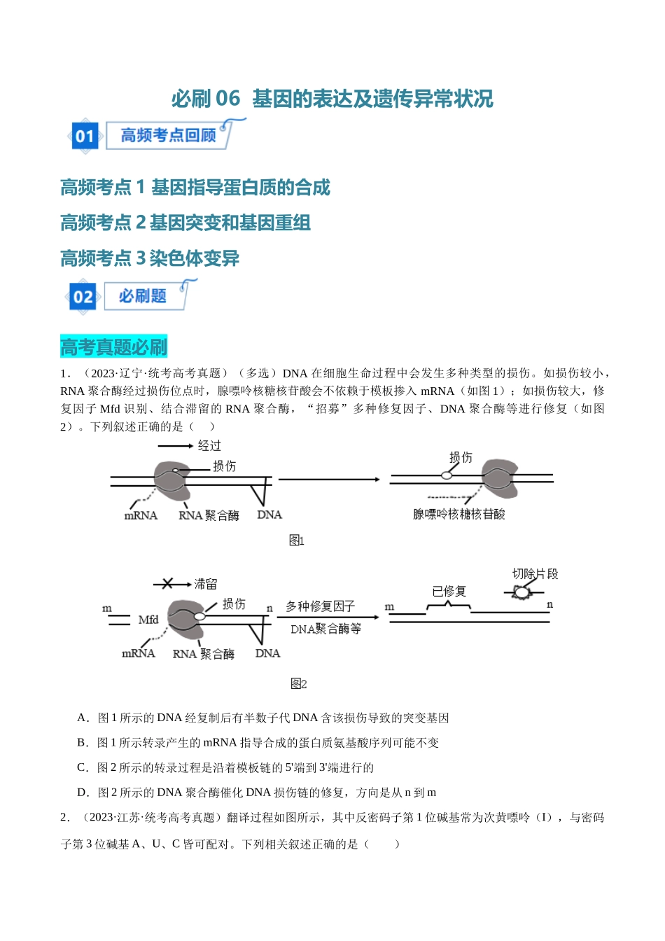 必刷06 基因的表达及异常状况(共50题)(学生版).docx_第1页