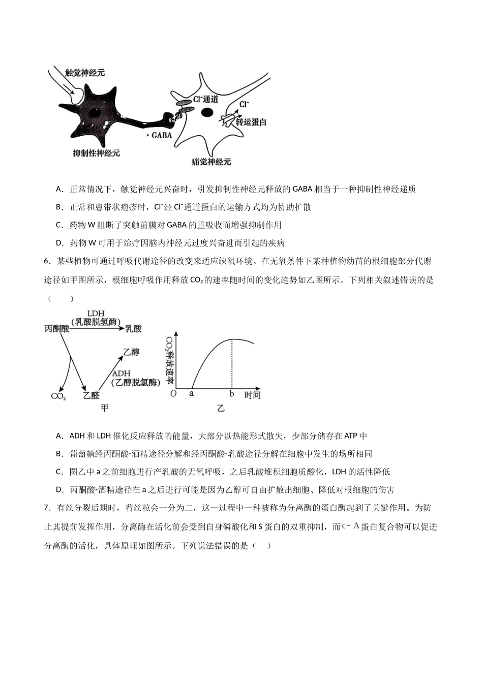 生物（河北卷02）（考试版）.docx_第3页