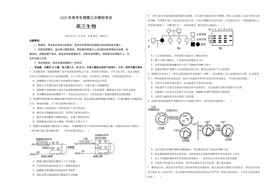 生物(河南卷)(考试版A3).docx_第1页