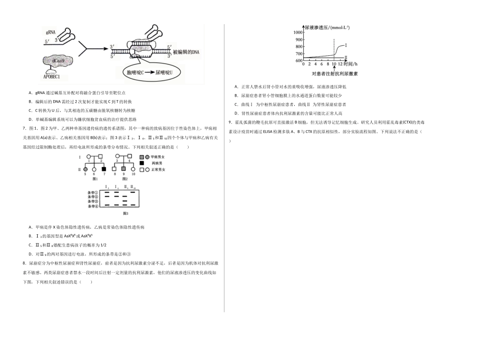 生物（河南卷01）（考试版A3）.docx_第2页