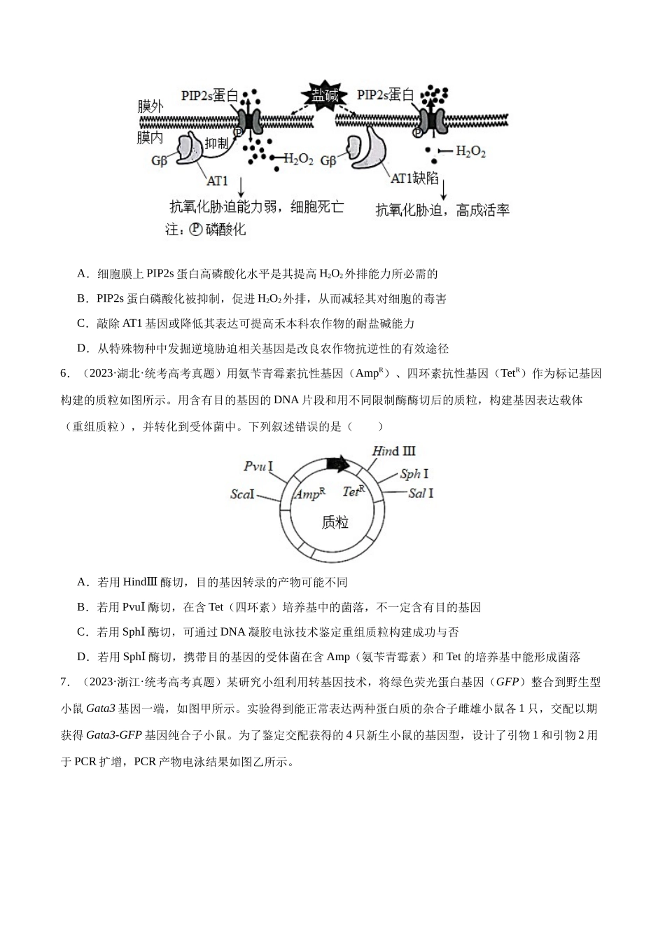 必刷12 基因工程(共50题)(原卷版).docx_第3页