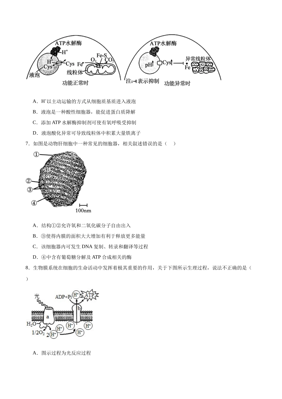 必修1 分子与细胞必刷卷01(原卷版).docx_第2页