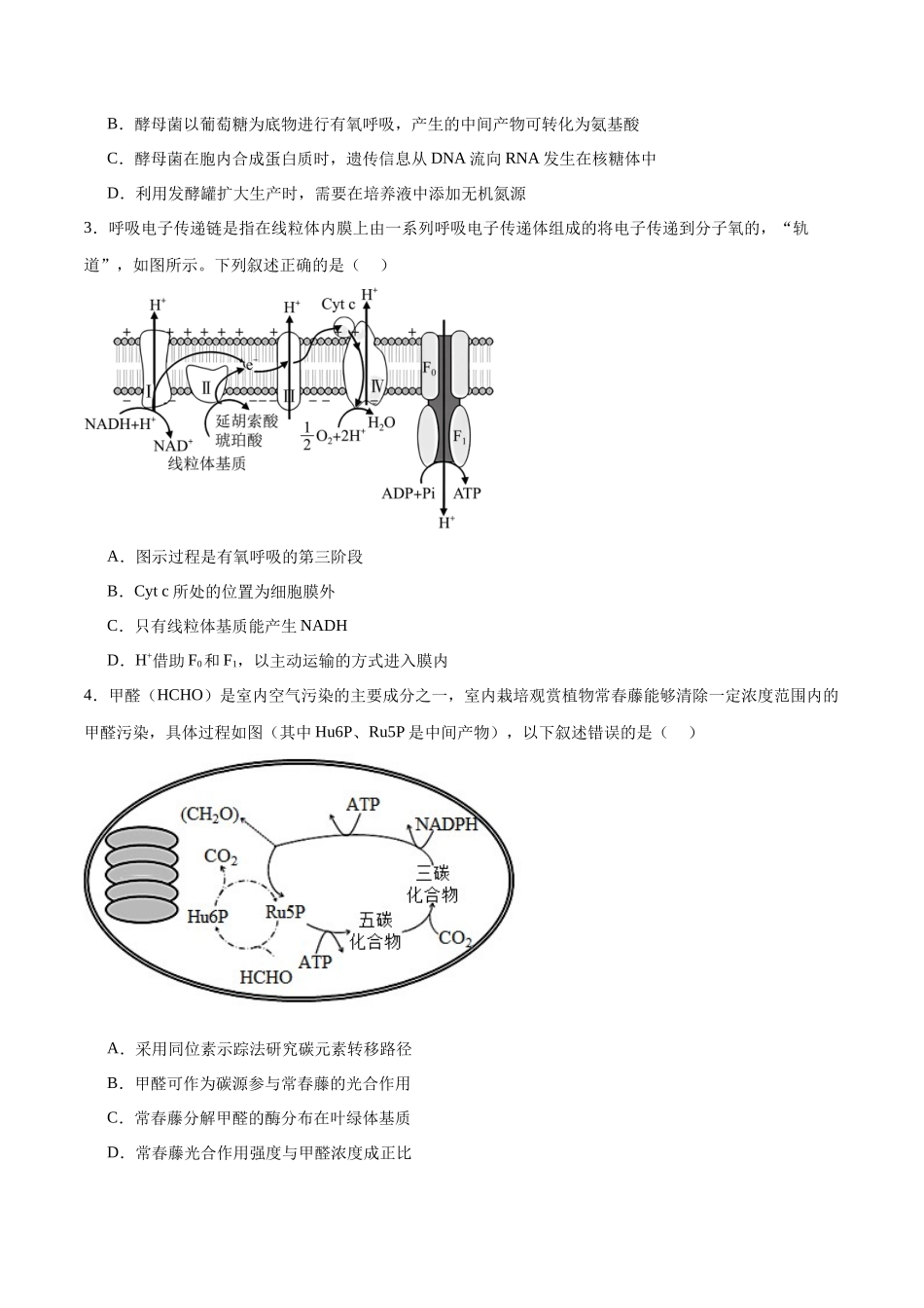 必修1 分子与细胞必刷卷03(原卷版).docx_第2页