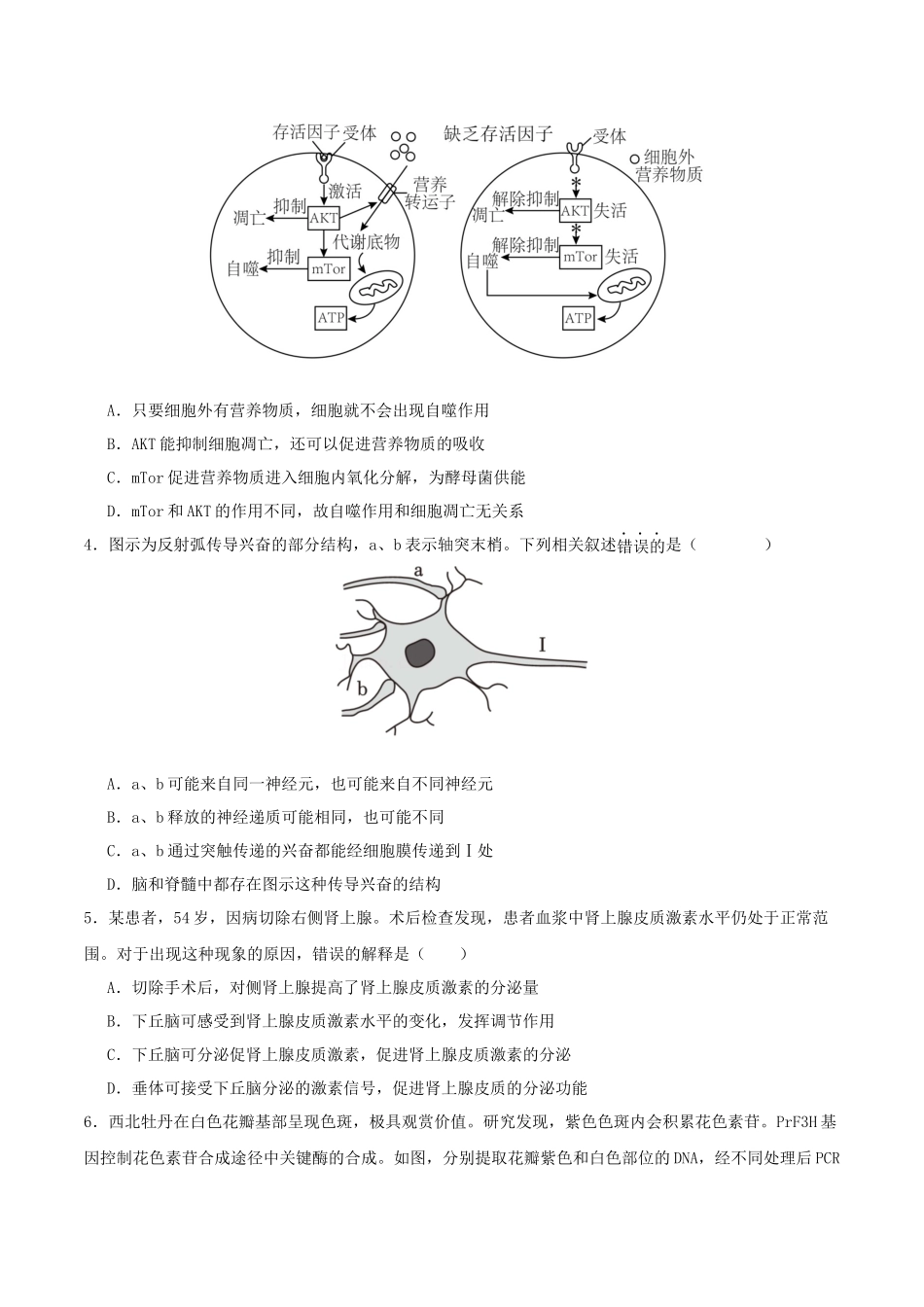 生物（湖北卷01）（考试版）.docx_第2页