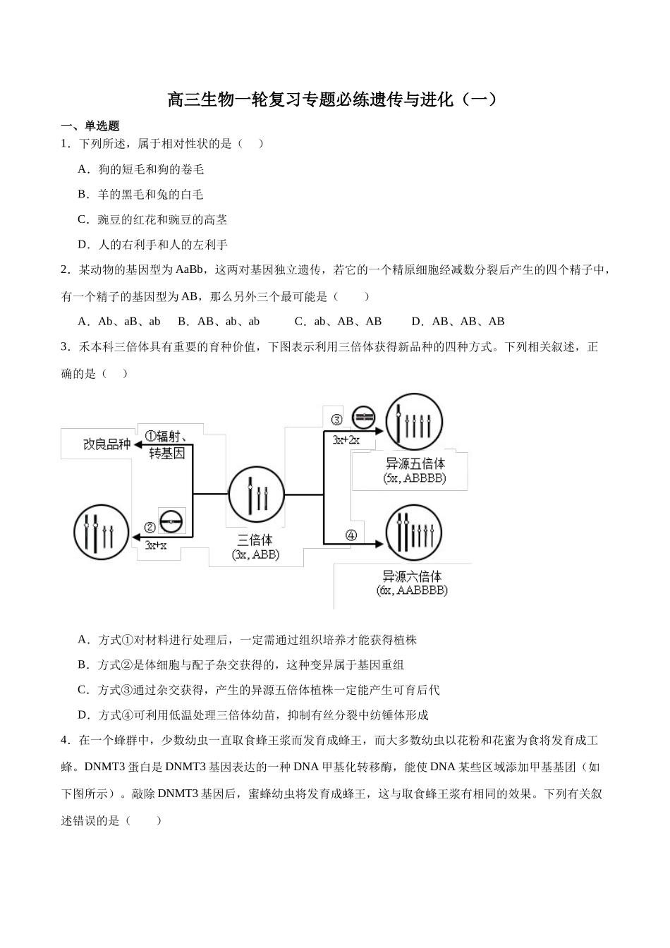 必修2 遗传与进化必刷卷01（原卷版）.docx_第1页