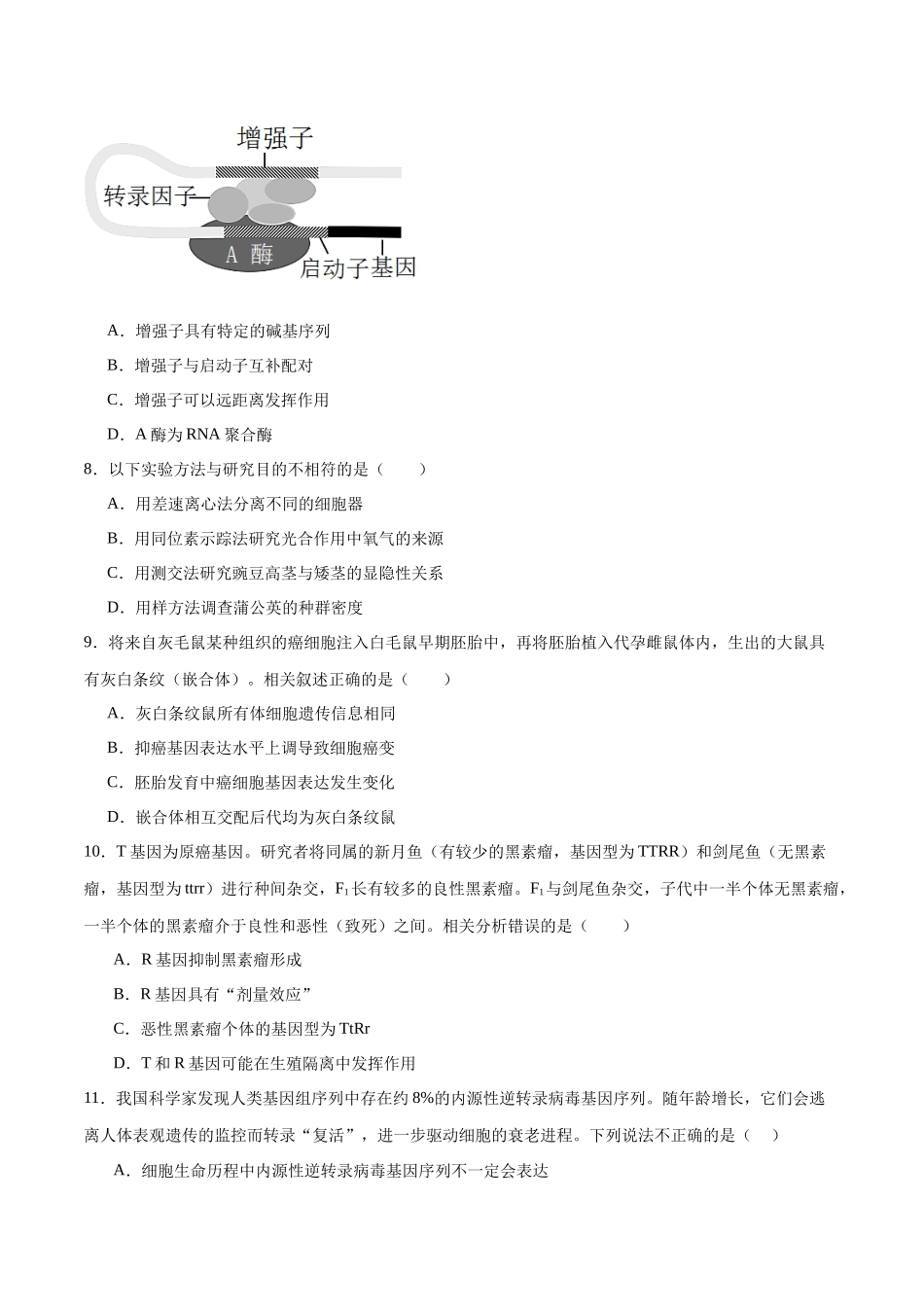 必修2 遗传与进化必刷卷02（原卷版）.docx_第3页