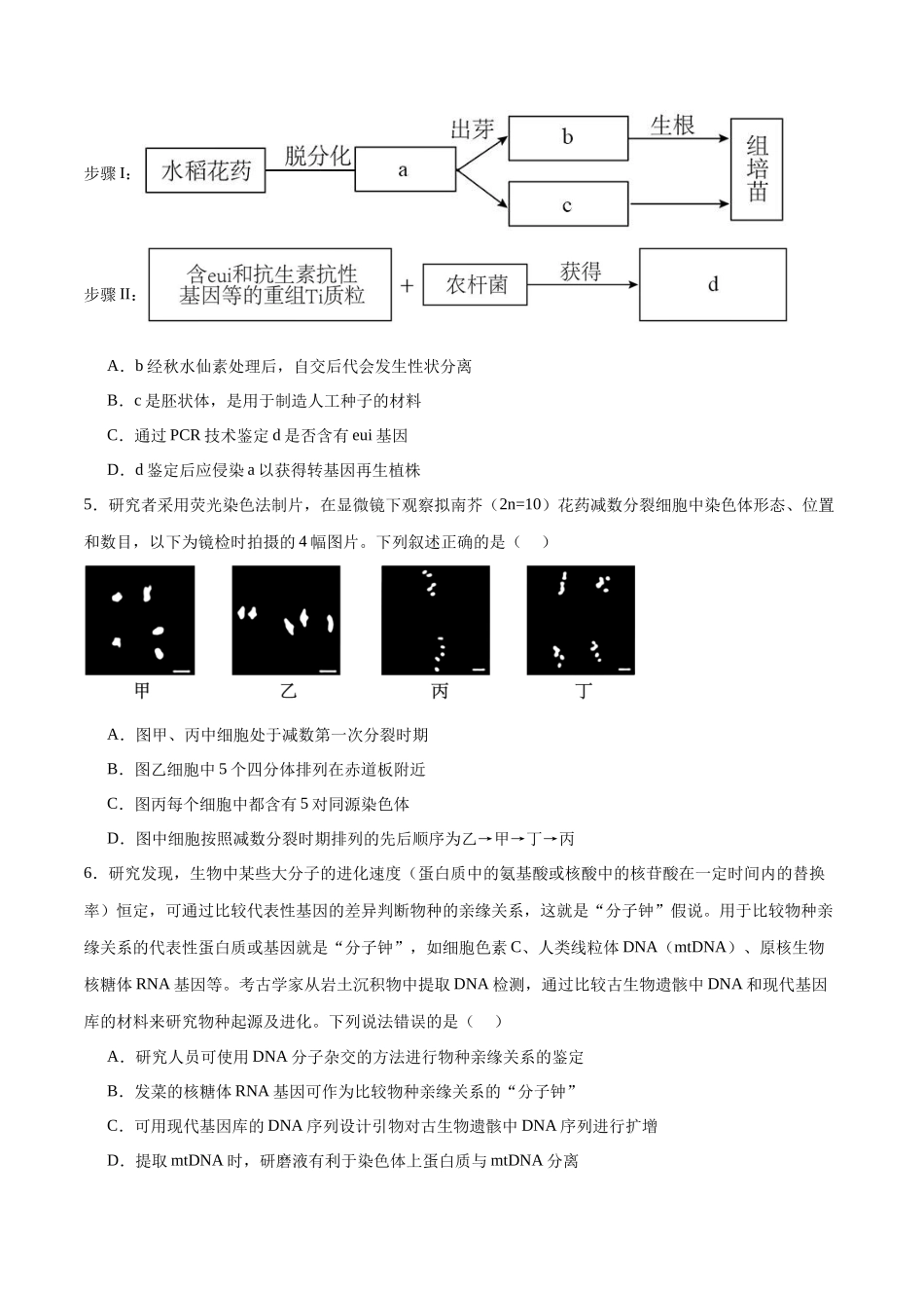 必修2 遗传与进化必刷卷03（原卷版）.docx_第2页