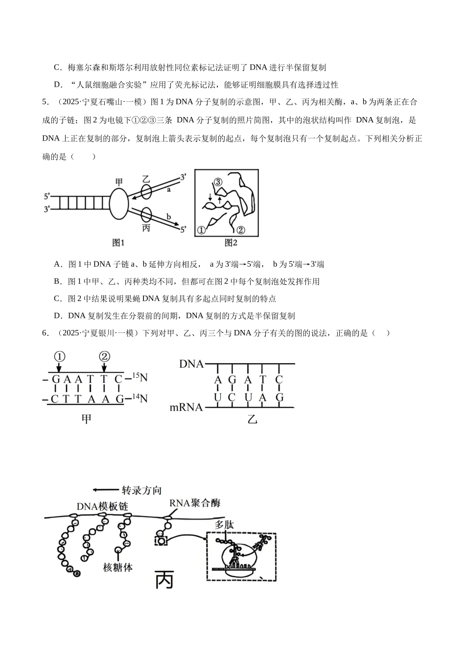 猜押05 遗传的分子基础、变异和进化(学生版).docx_第3页
