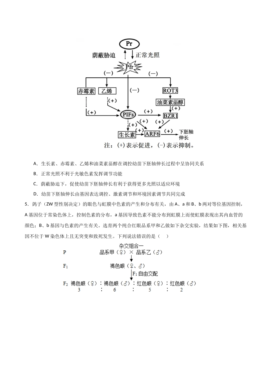 生物(九省联考考后提升卷,河南)(原卷版).docx_第3页