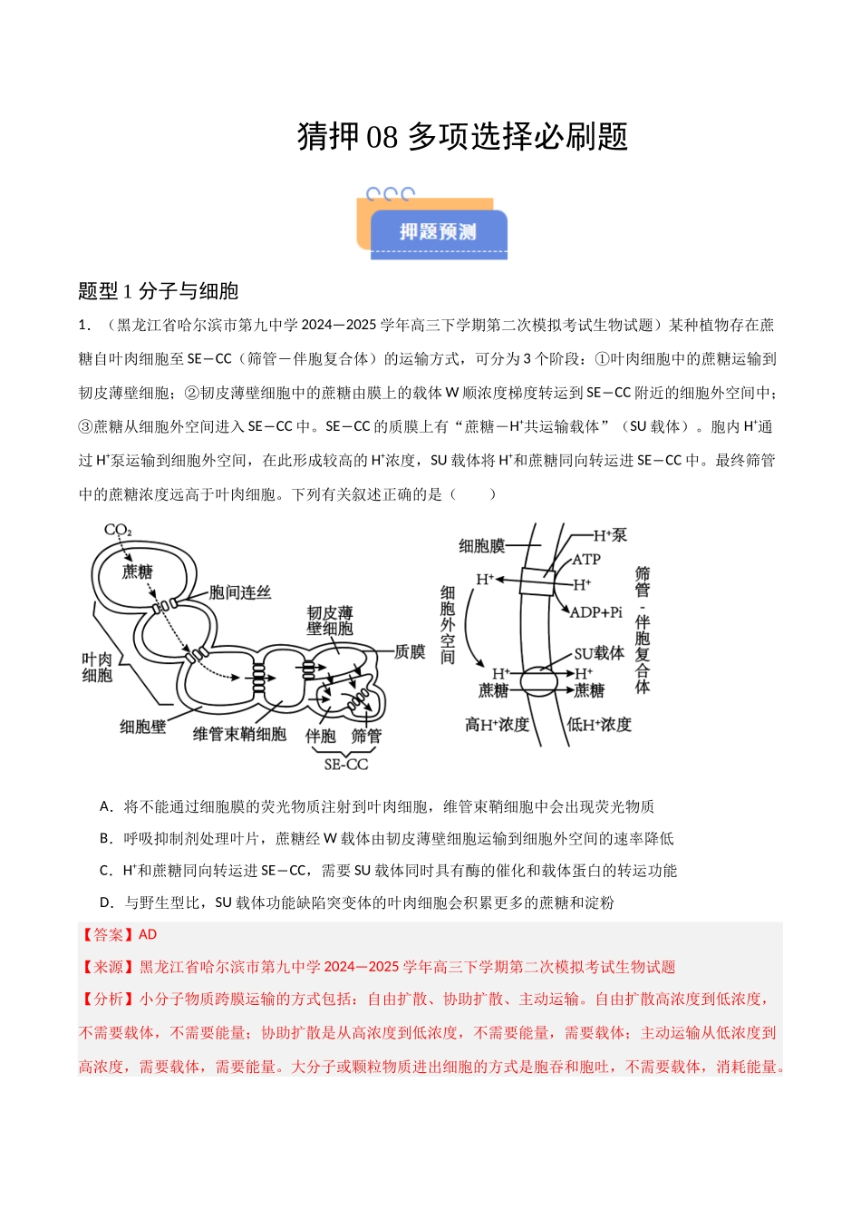 猜押08 多项选择题必刷（教师版）.docx_第1页
