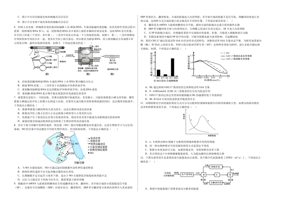 生物(山东卷)(考试版A3).docx_第2页