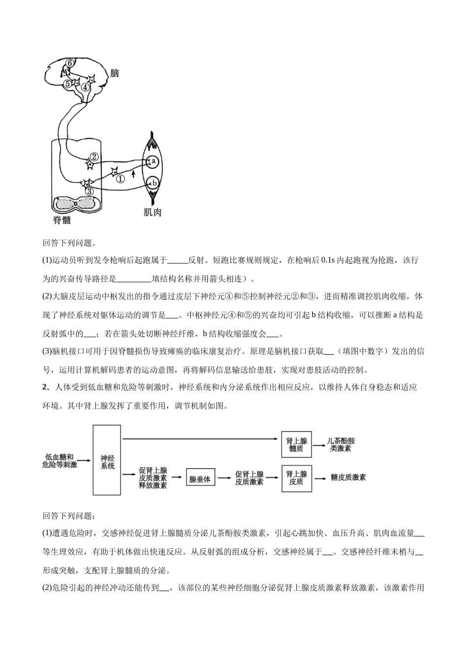 大题03 生命活动的调节(原卷版).docx_第3页