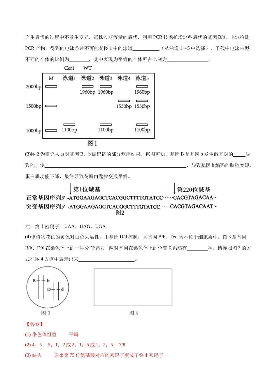 大题预测02(教师版).docx_第3页