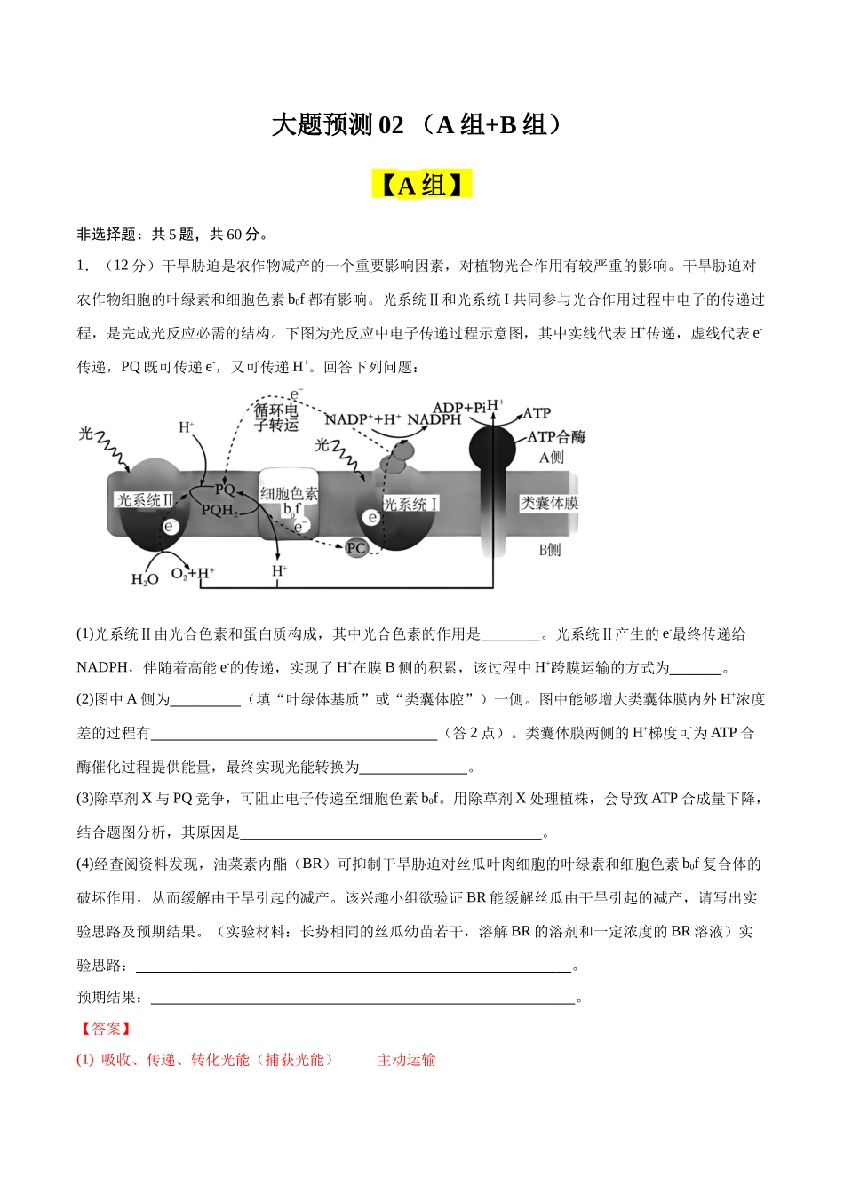 大题预测02(解析版).docx_第1页