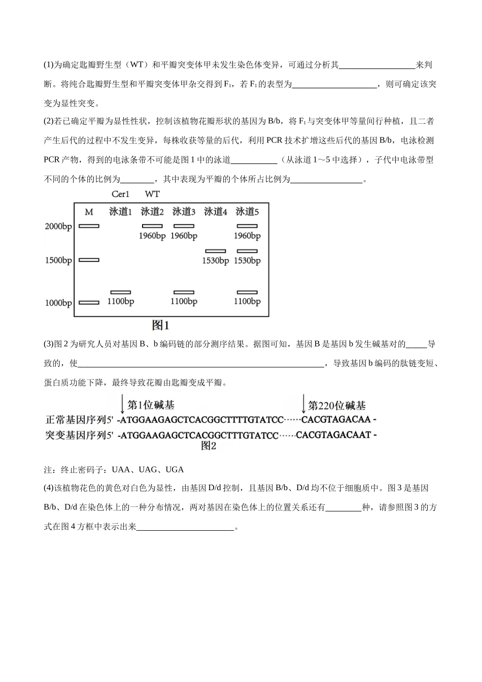 大题预测02(原卷版).docx_第2页
