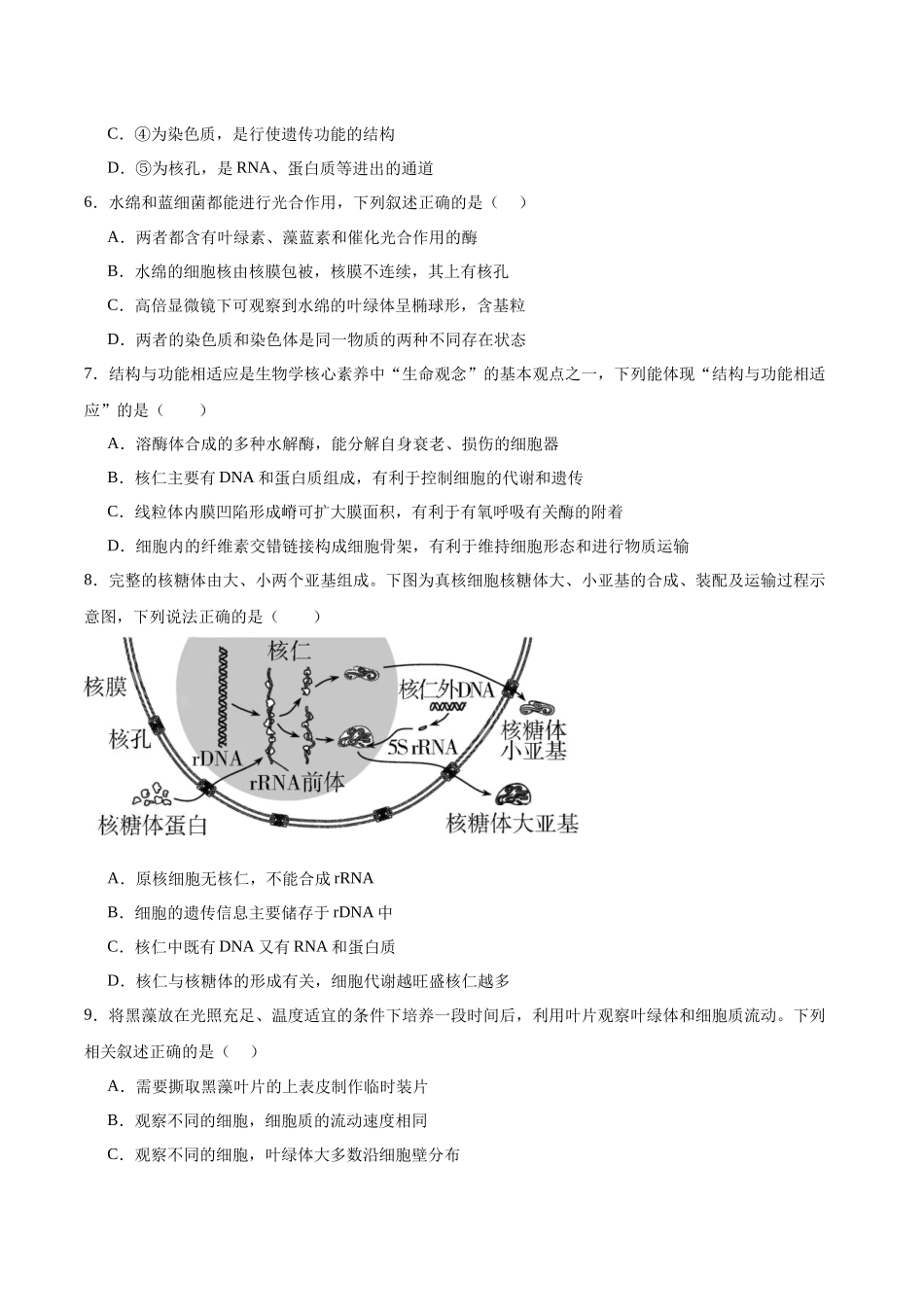 单元检测卷02  细胞的结构、功能和物质运输（学生版）.docx_第3页