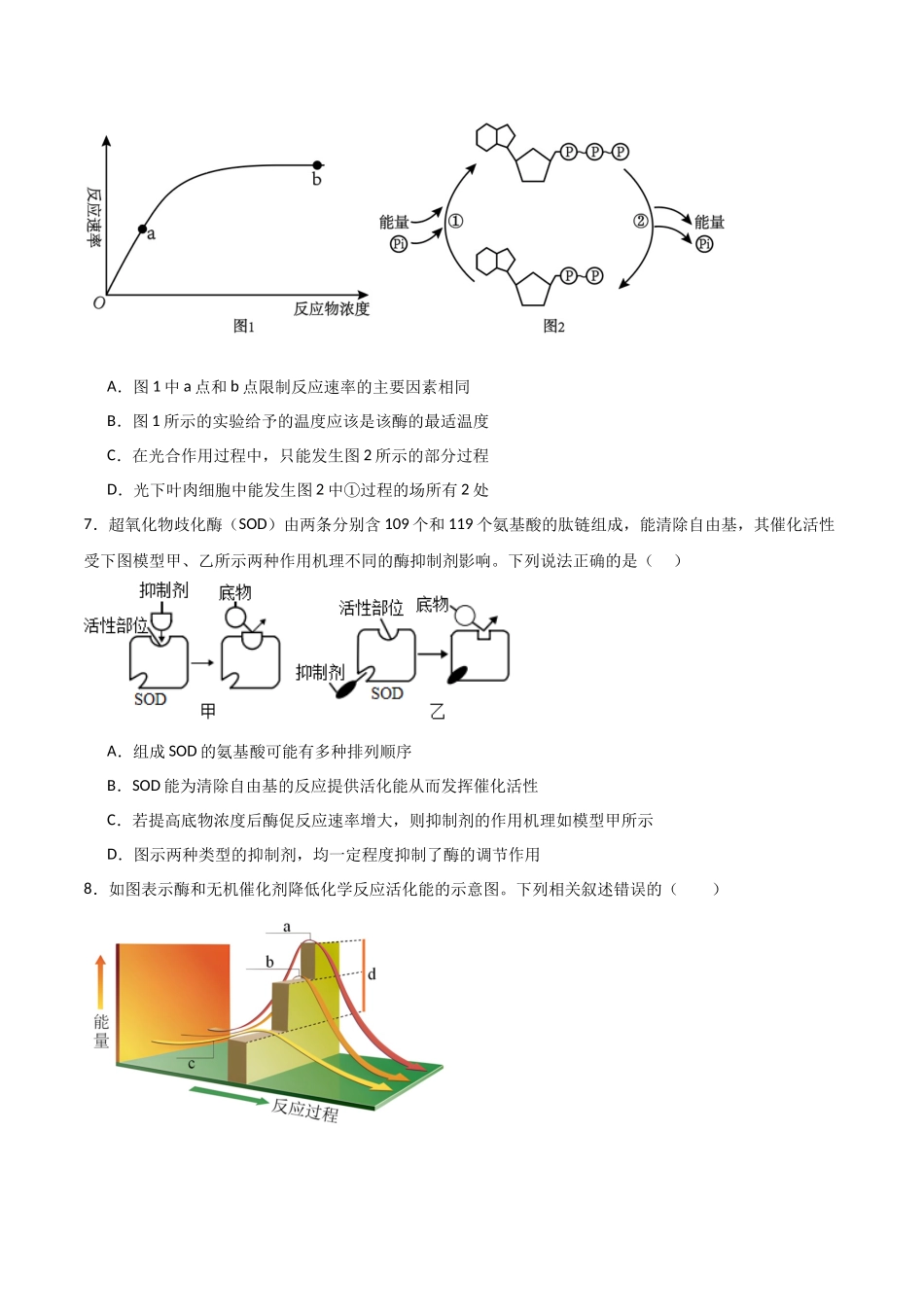 单元检测卷03 细胞的能量供应和利用(原卷版).docx_第3页