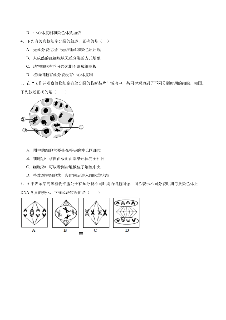 单元检测卷04  细胞的生命历程（学生版）.docx_第2页
