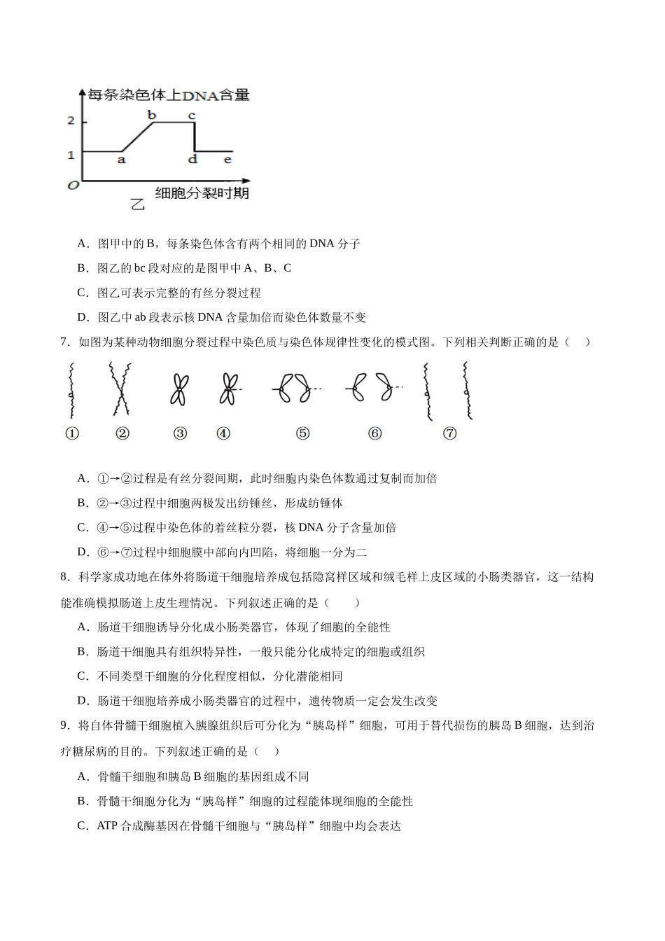 单元检测卷04  细胞的生命历程（学生版）.docx_第3页