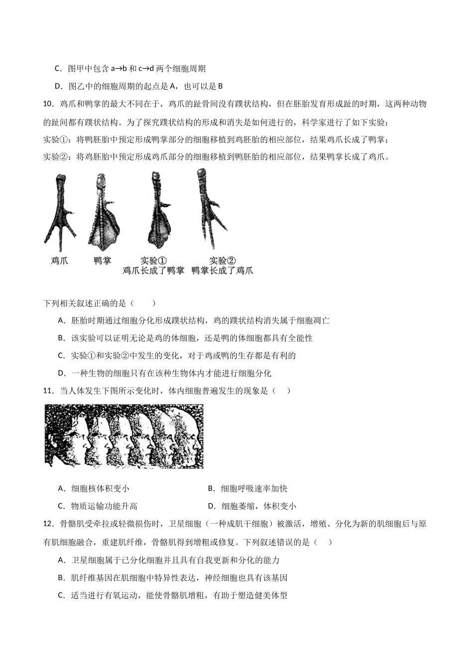 单元检测卷04 细胞的生命历程(原卷版).docx_第3页
