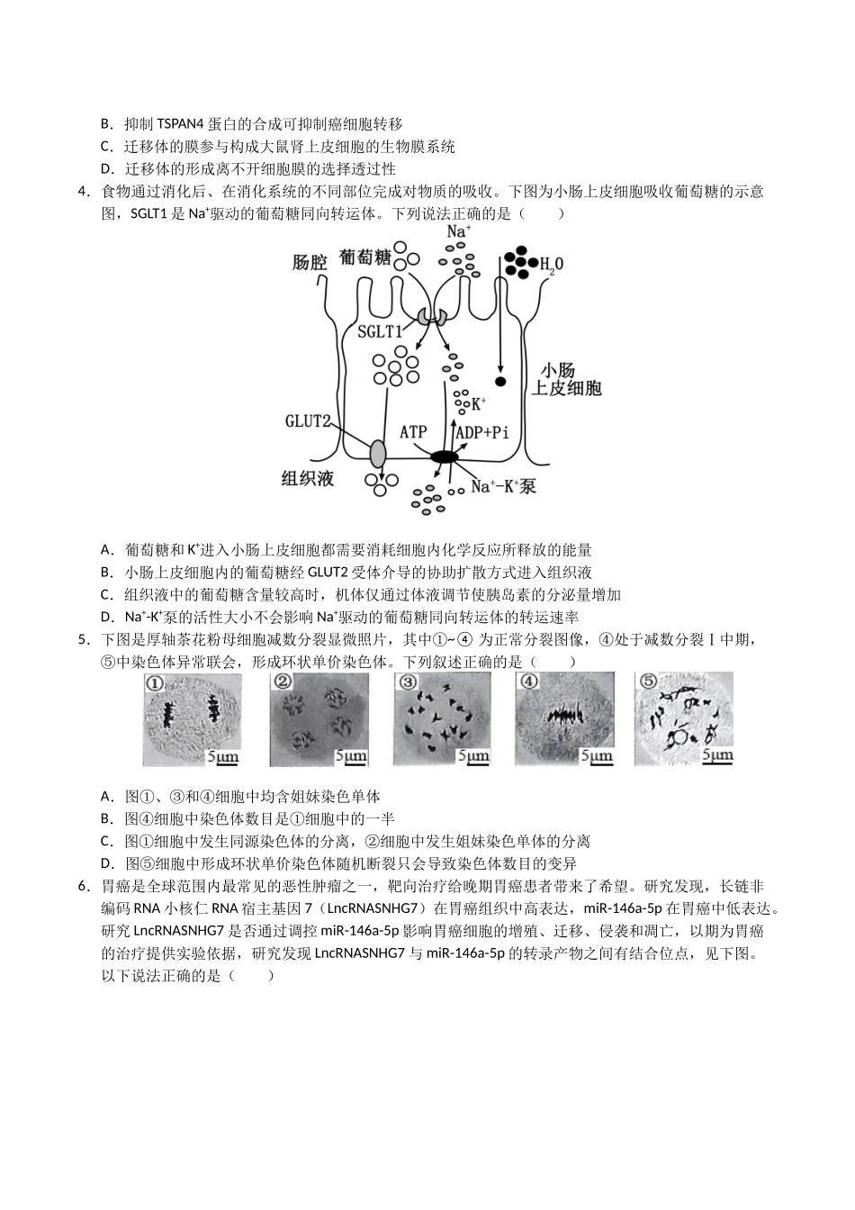 生物(云南卷01)(考试版).docx_第2页