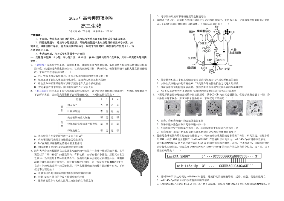 生物(云南卷01)(考试版A3).docx_第1页