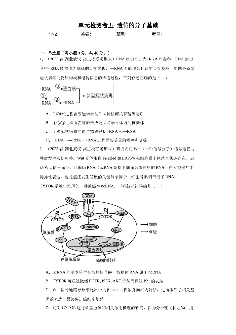 单元检测卷五 遗传的分子基础(原卷版).docx_第1页