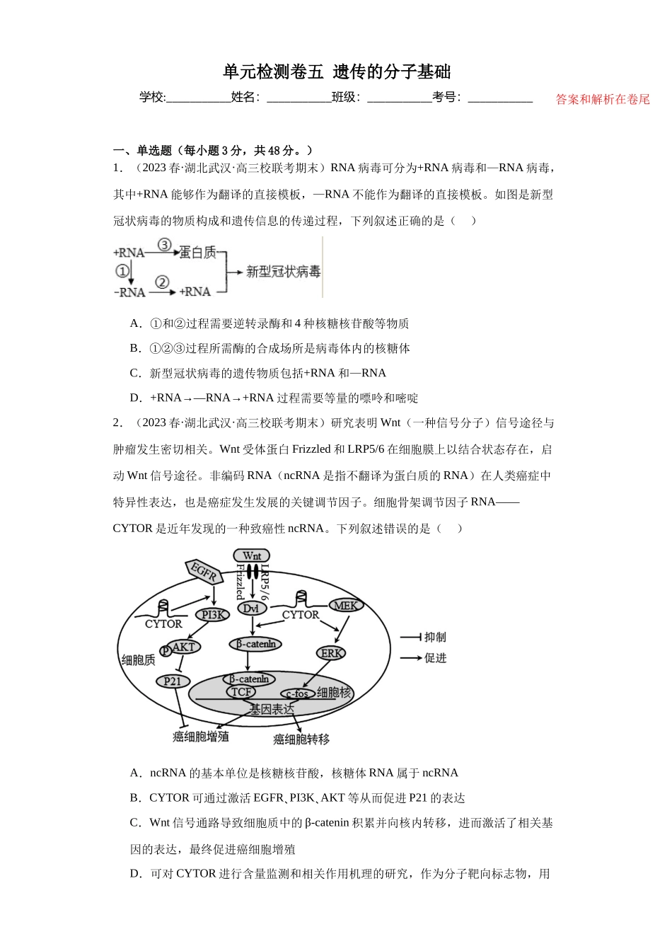 单元检测卷五遗传的分子基础(解析版).docx_第1页