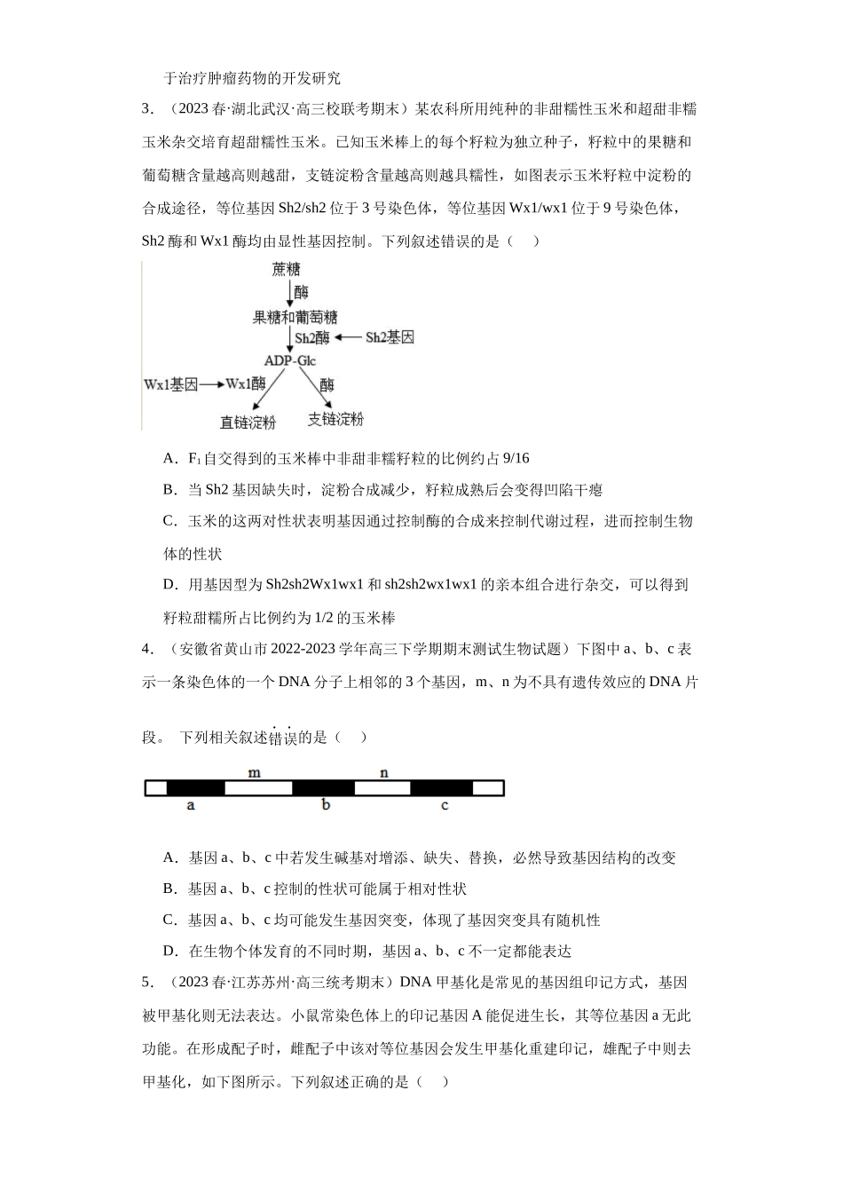 单元检测卷五遗传的分子基础(解析版).docx_第2页