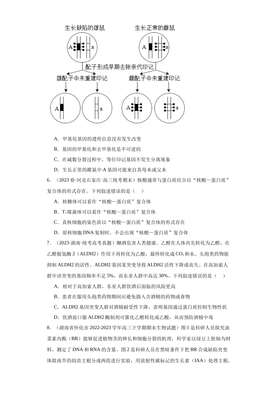 单元检测卷五遗传的分子基础(解析版).docx_第3页