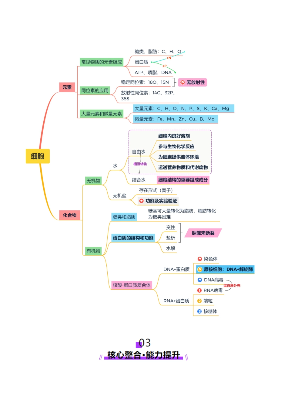 第01讲 细胞中的元素和化合物(讲义)(教师版).docx_第3页