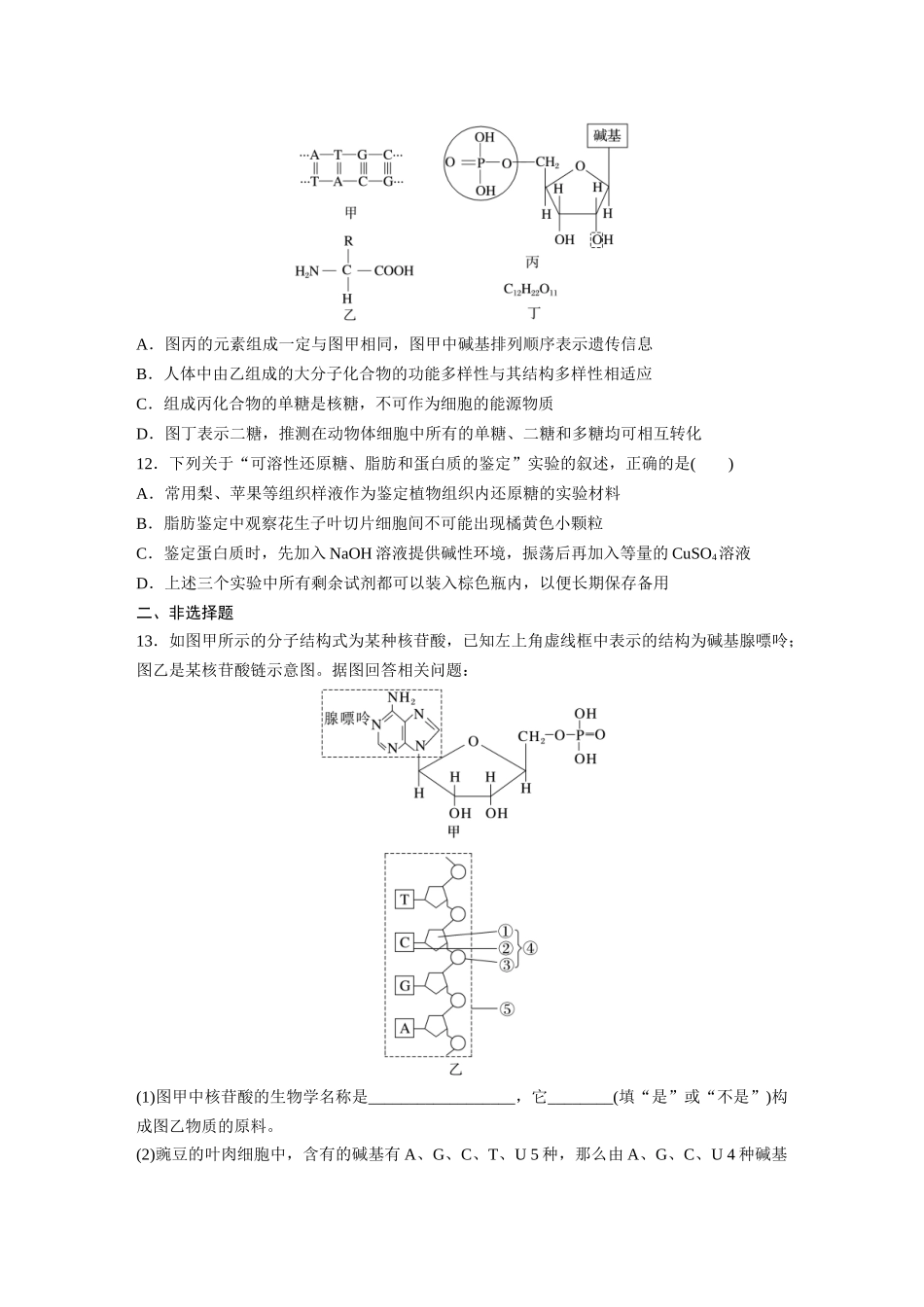 第1单元 课时练4 核酸是遗传信息的携带者、有机物的鉴定.docx_第3页