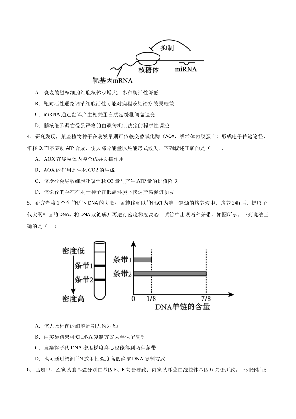 生物二模模拟卷(山东专用)(考试版).docx_第2页