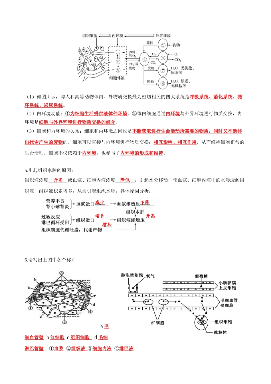 第1章 人体的内环境与稳态(答案版).docx_第3页