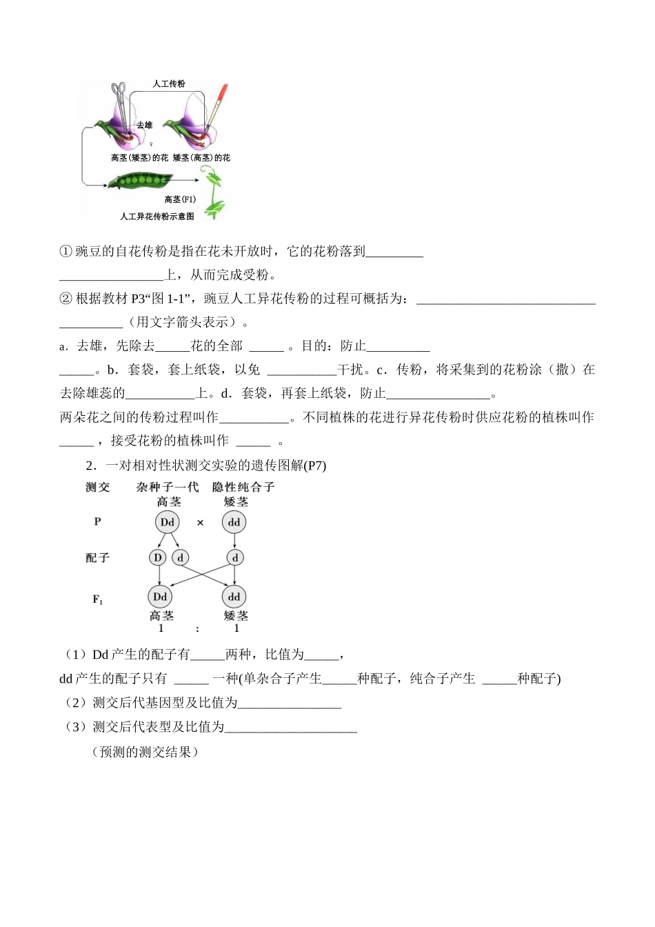 第1章 遗传因子的发现（填空版）.docx_第2页