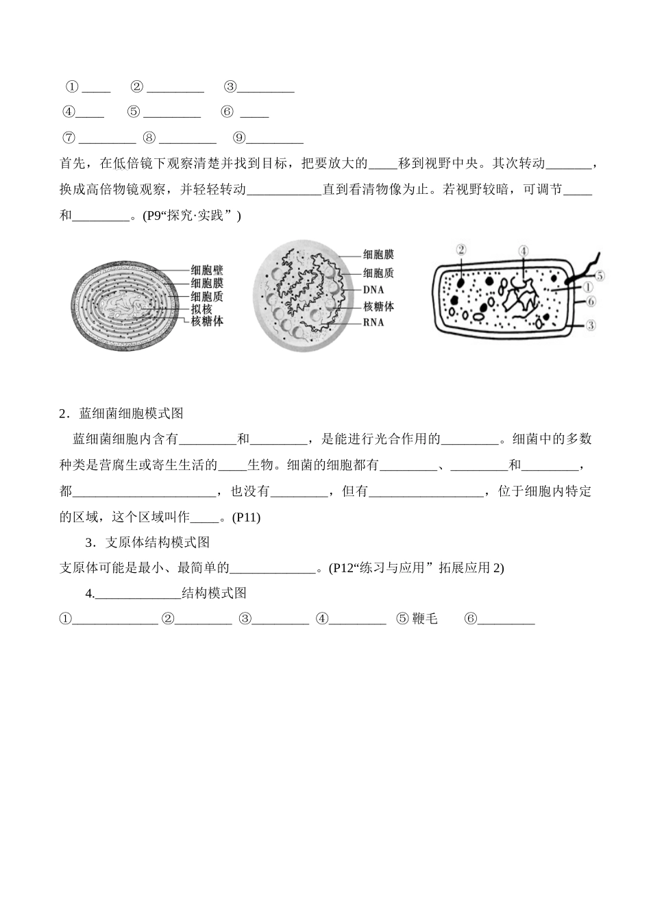 第1章 走近细胞(填空版).docx_第3页