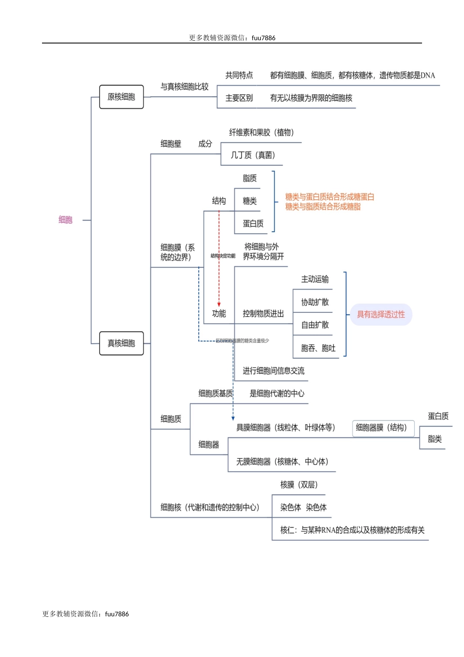 第02讲 细胞的基本结构、功能与物质进出细胞的方式(讲义)解析版.docx_第3页