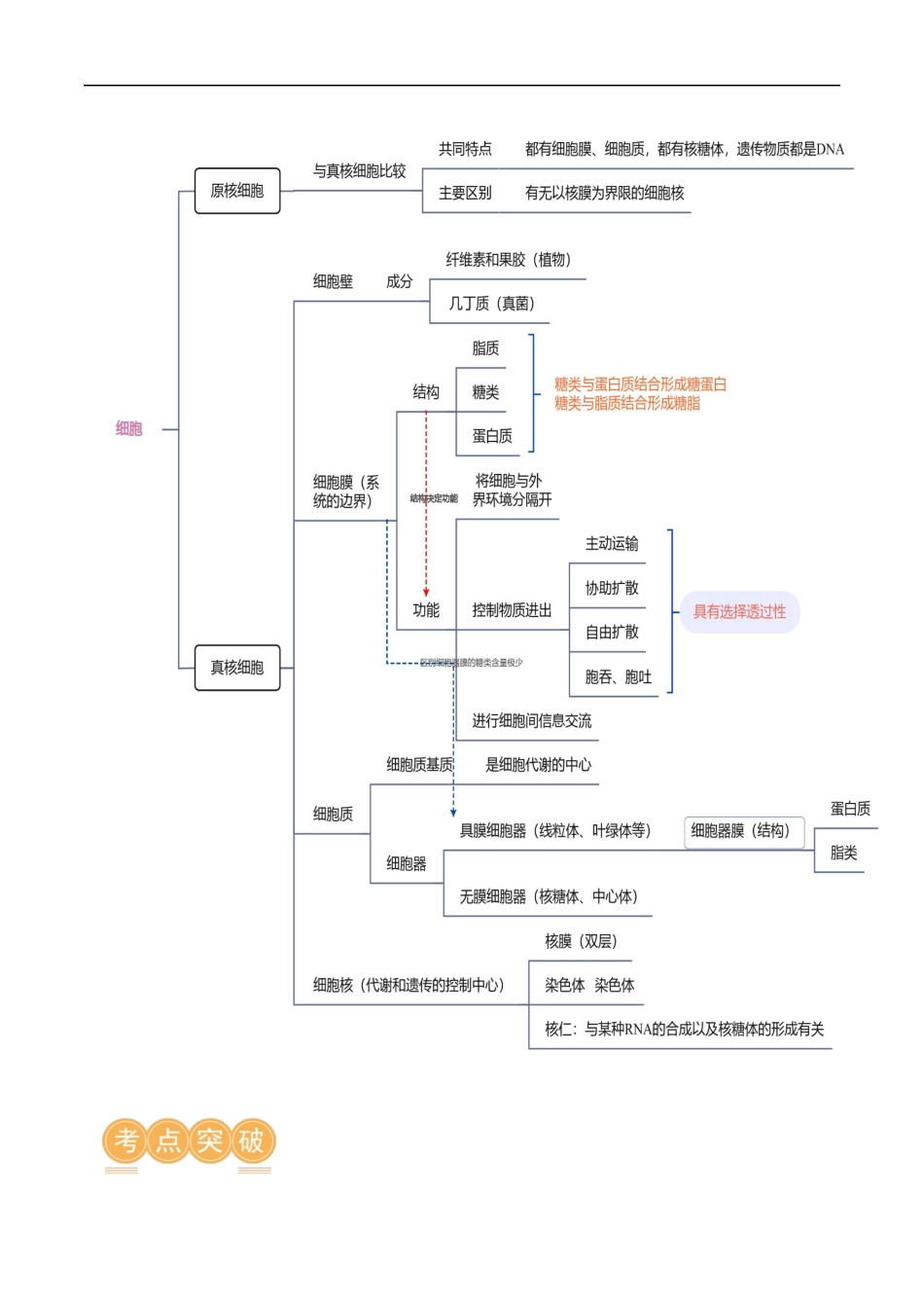 第02讲 细胞的基本结构、功能与物质进出细胞的方式(讲义)原卷版.docx_第3页