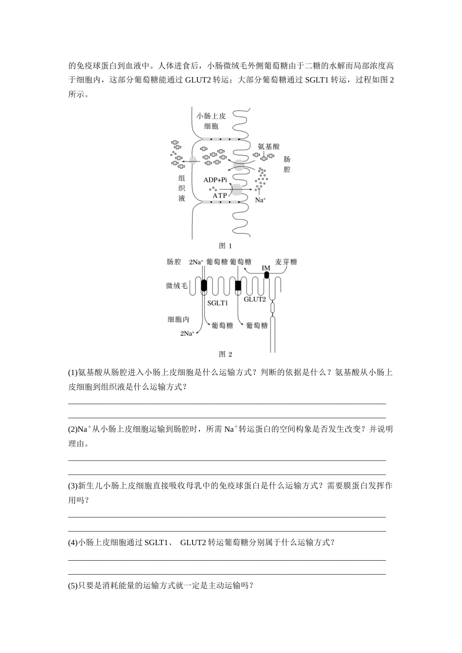 第2单元 第5课时 物质出入细胞的方式及影响因素.docx_第3页